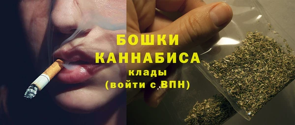 гидропоника Дмитриев