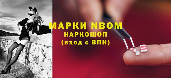 гидропоника Дмитриев