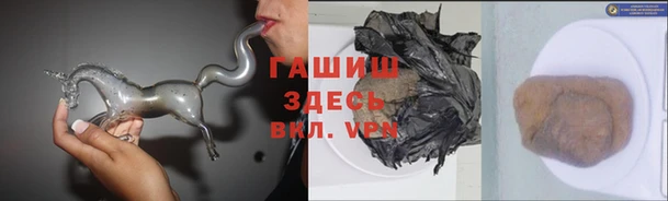 сатива Дмитров