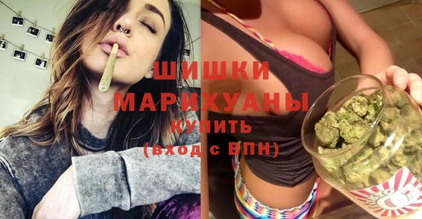 гидропоника Дмитриев