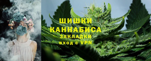 гидропоника Дмитриев