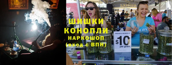 гидропоника Дмитриев
