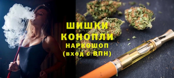 сатива Дмитров