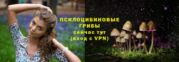 гидропоника Дмитриев