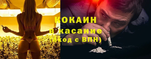 гидропоника Дмитриев