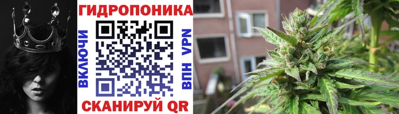 Купить где  Змеиногорск  Шишки марихуана Bruce Banner 